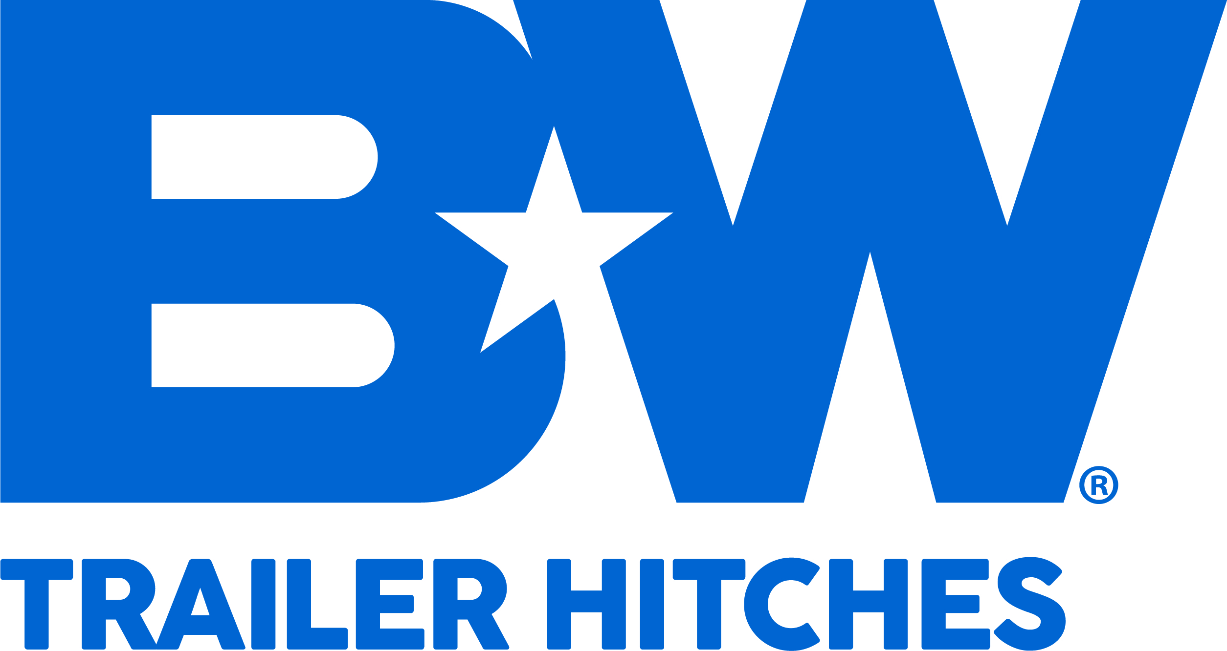 B&W Logo 2016 registered hi res
